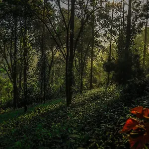 southern-panorama-indriya-resorts-spa.kerala-hotels.net/